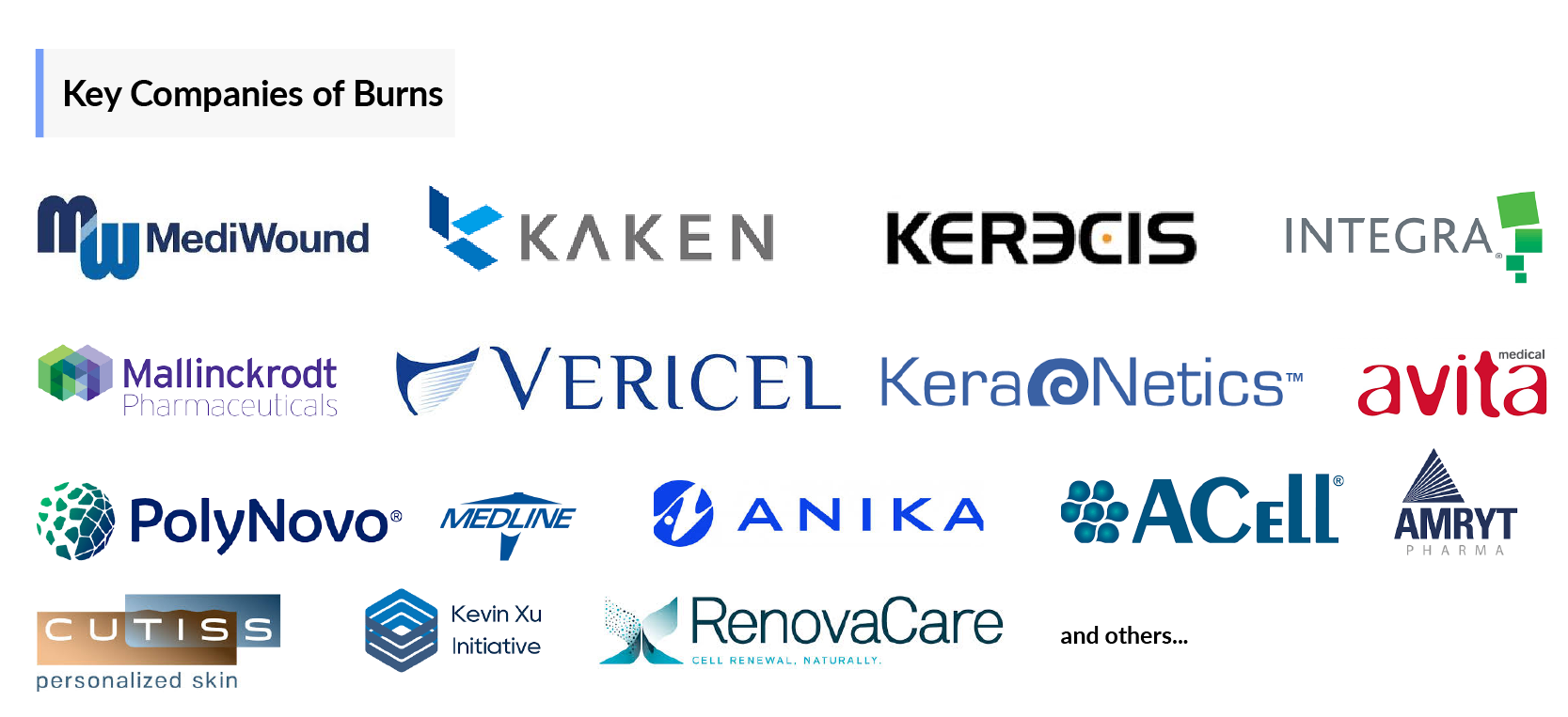 Key Companies of Burns